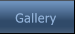 Gallery Gallery